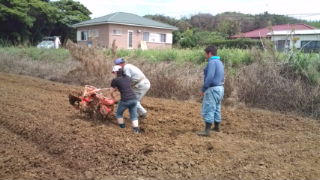 うねをたてました！